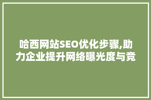 哈西网站SEO优化步骤,助力企业提升网络曝光度与竞争力