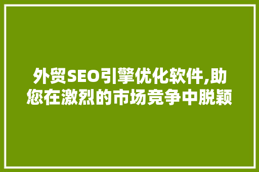 外贸SEO引擎优化软件,助您在激烈的市场竞争中脱颖而出