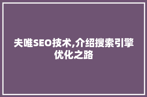 夫唯SEO技术,介绍搜索引擎优化之路