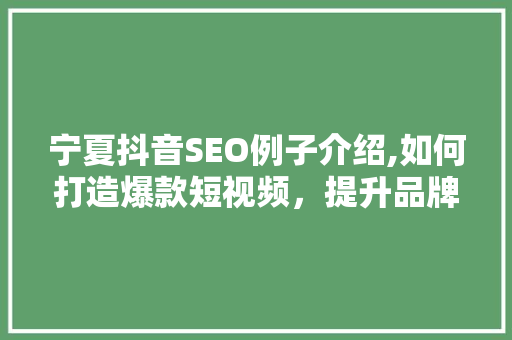 宁夏抖音SEO例子介绍,如何打造爆款短视频，提升品牌影响力