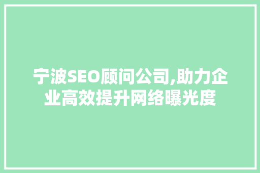 宁波SEO顾问公司,助力企业高效提升网络曝光度