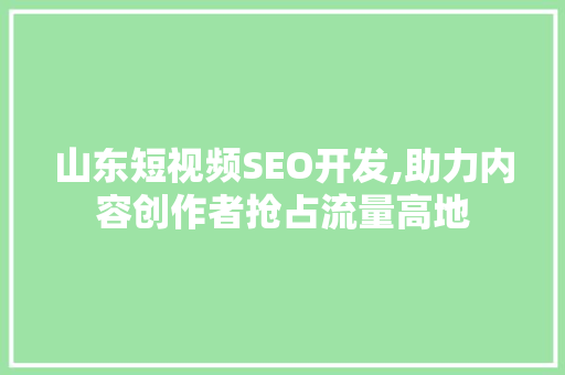 山东短视频SEO开发,助力内容创作者抢占流量高地