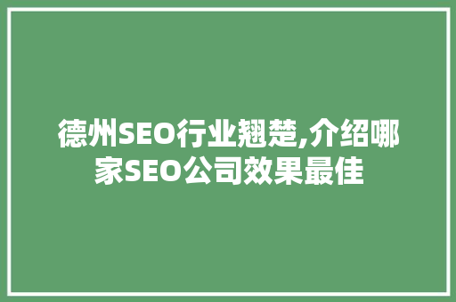 德州SEO行业翘楚,介绍哪家SEO公司效果最佳