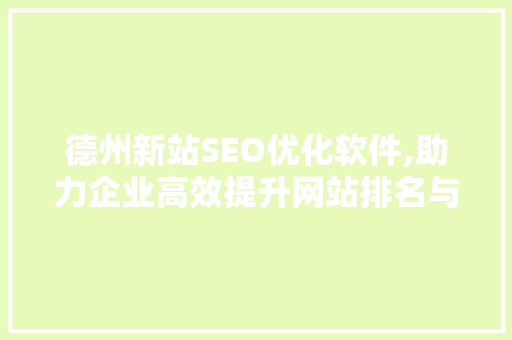 德州新站SEO优化软件,助力企业高效提升网站排名与流量