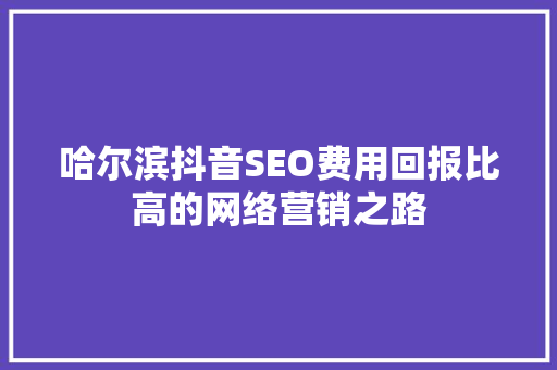 哈尔滨抖音SEO费用回报比高的网络营销之路