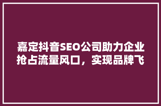 嘉定抖音SEO公司助力企业抢占流量风口，实现品牌飞跃