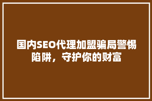 国内SEO代理加盟骗局警惕陷阱，守护你的财富 编程语言