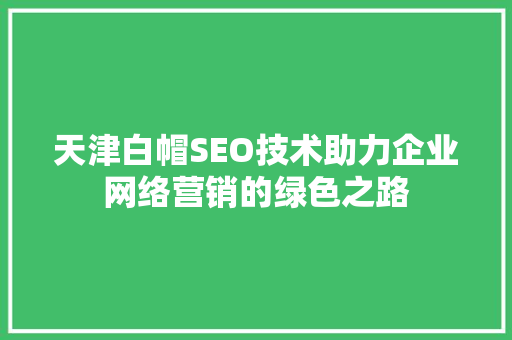 天津白帽SEO技术助力企业网络营销的绿色之路