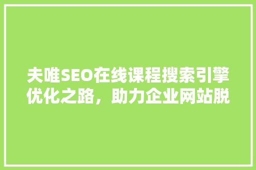 夫唯SEO在线课程搜索引擎优化之路，助力企业网站脱颖而出