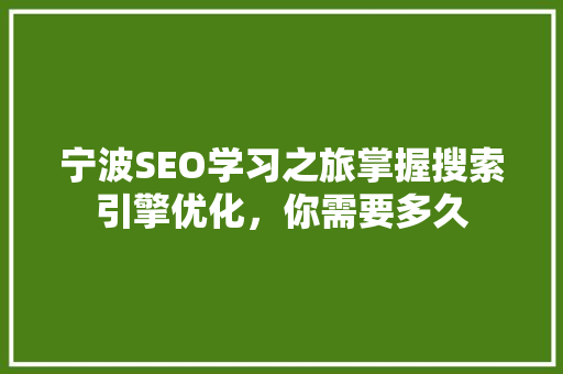 宁波SEO学习之旅掌握搜索引擎优化，你需要多久