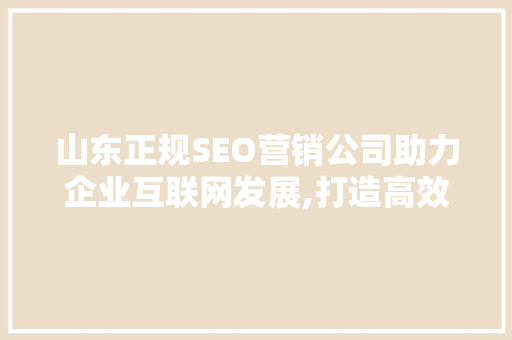 山东正规SEO营销公司助力企业互联网发展,打造高效营销步骤