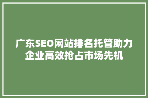 广东SEO网站排名托管助力企业高效抢占市场先机