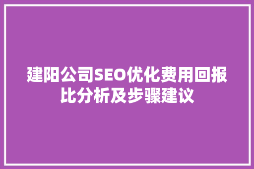 建阳公司SEO优化费用回报比分析及步骤建议