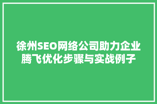 徐州SEO网络公司助力企业腾飞优化步骤与实战例子