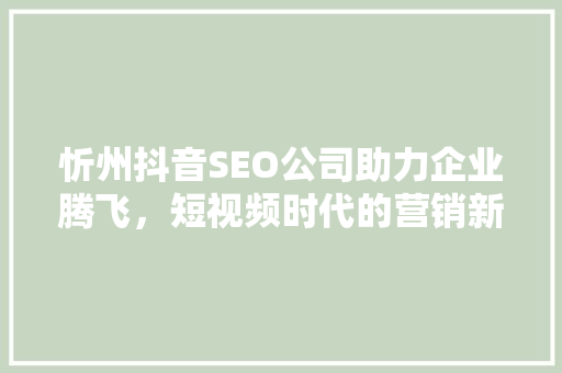 忻州抖音SEO公司助力企业腾飞，短视频时代的营销新法则