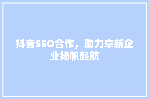 抖音SEO合作，助力阜新企业扬帆起航