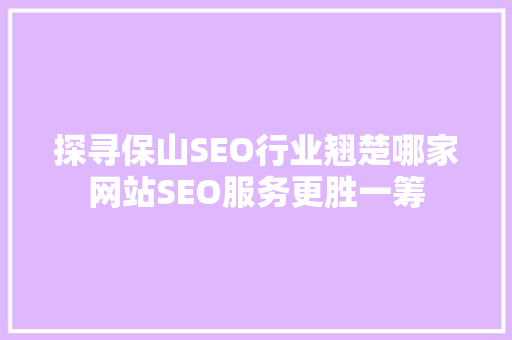 探寻保山SEO行业翘楚哪家网站SEO服务更胜一筹