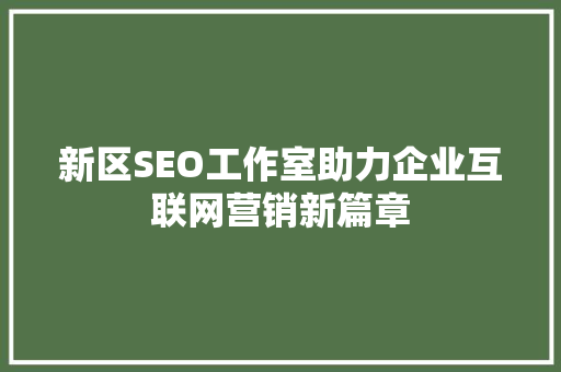 新区SEO工作室助力企业互联网营销新篇章