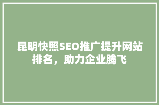 昆明快照SEO推广提升网站排名，助力企业腾飞