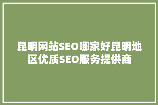 昆明网站SEO哪家好昆明地区优质SEO服务提供商