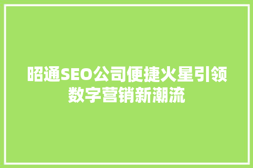 昭通SEO公司便捷火星引领数字营销新潮流