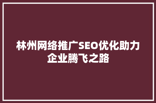 林州网络推广SEO优化助力企业腾飞之路
