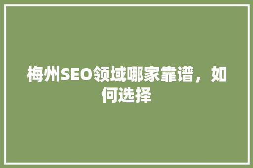 梅州SEO领域哪家靠谱，如何选择
