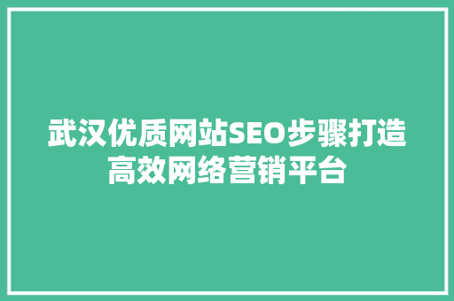武汉优质网站SEO步骤打造高效网络营销平台