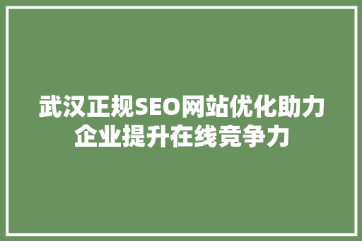 武汉正规SEO网站优化助力企业提升在线竞争力