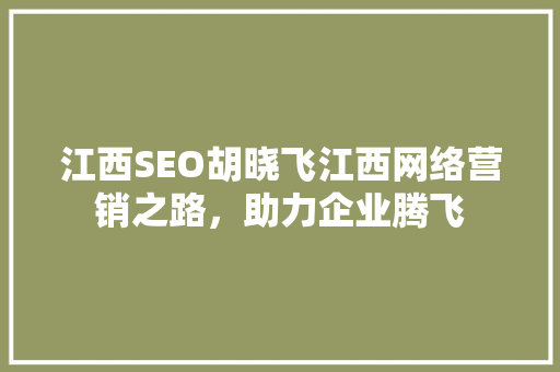 江西SEO胡晓飞江西网络营销之路，助力企业腾飞