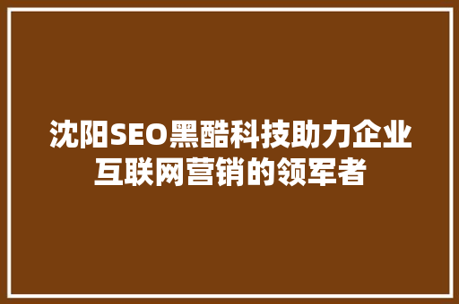 沈阳SEO黑酷科技助力企业互联网营销的领军者