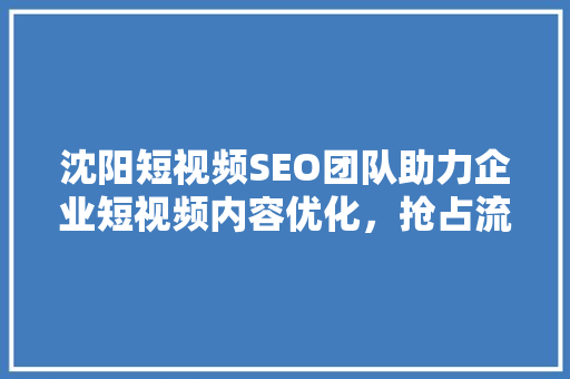 沈阳短视频SEO团队助力企业短视频内容优化，抢占流量高地
