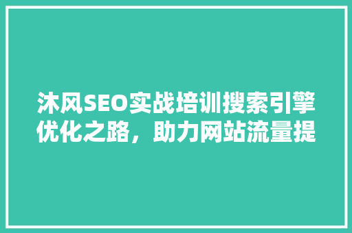 沐风SEO实战培训搜索引擎优化之路，助力网站流量提升