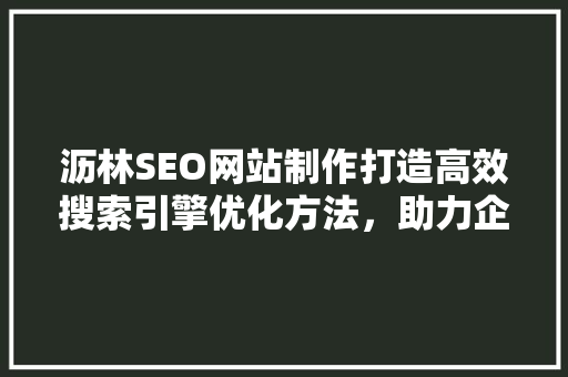 沥林SEO网站制作打造高效搜索引擎优化方法，助力企业网络营销