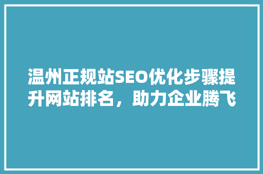 温州正规站SEO优化步骤提升网站排名，助力企业腾飞 编程语言
