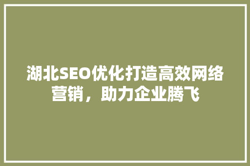 湖北SEO优化打造高效网络营销，助力企业腾飞 编程语言