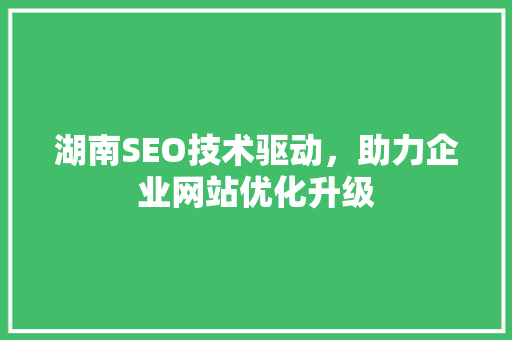 湖南SEO技术驱动，助力企业网站优化升级