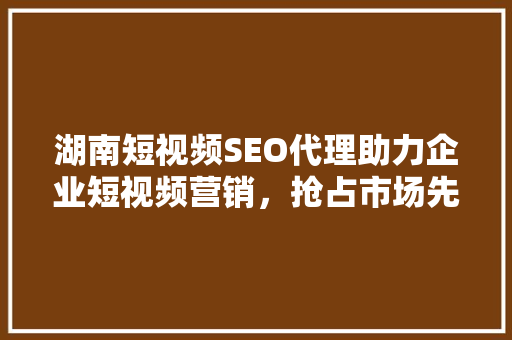 湖南短视频SEO代理助力企业短视频营销，抢占市场先机