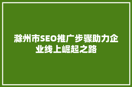 滁州市SEO推广步骤助力企业线上崛起之路 滁州市SEO推广步骤助力企业线上崛起之路
