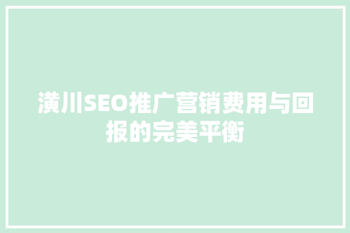潢川SEO推广营销费用与回报的完美平衡