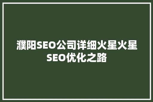 濮阳SEO公司详细火星火星SEO优化之路