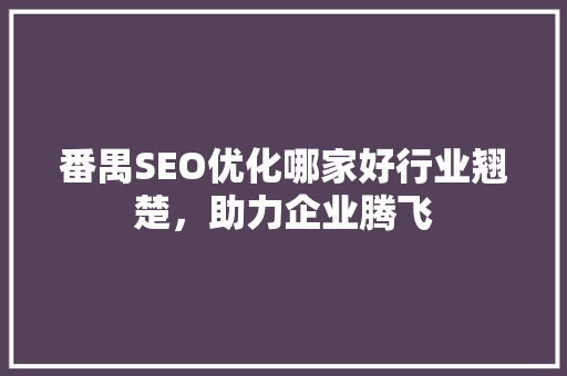 番禺SEO优化哪家好行业翘楚，助力企业腾飞