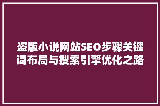 盗版小说网站SEO步骤关键词布局与搜索引擎优化之路