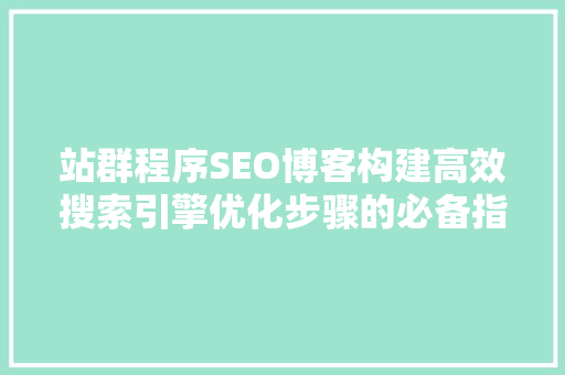 站群程序SEO博客构建高效搜索引擎优化步骤的必备指南