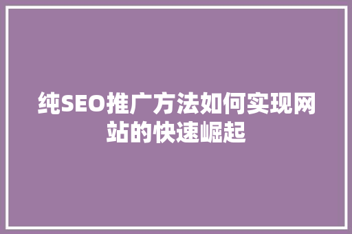 纯SEO推广方法如何实现网站的快速崛起