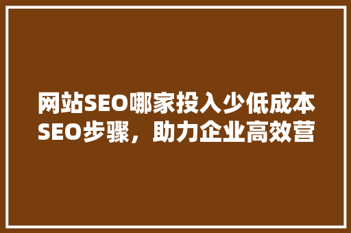 网站SEO哪家投入少低成本SEO步骤，助力企业高效营销