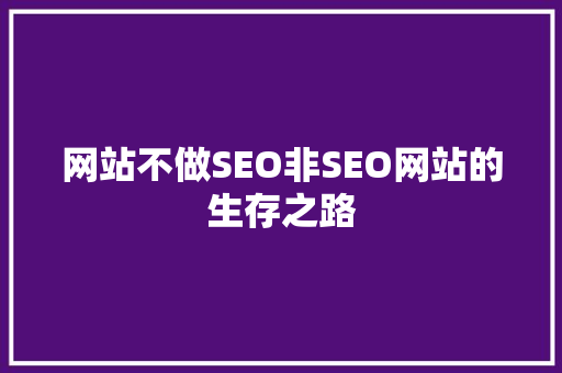 网站不做SEO非SEO网站的生存之路