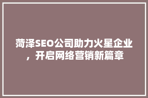 菏泽SEO公司助力火星企业，开启网络营销新篇章