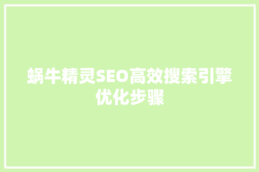 蜗牛精灵SEO高效搜索引擎优化步骤