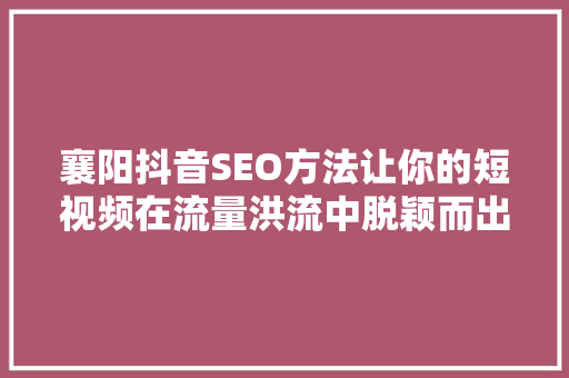 襄阳抖音SEO方法让你的短视频在流量洪流中脱颖而出